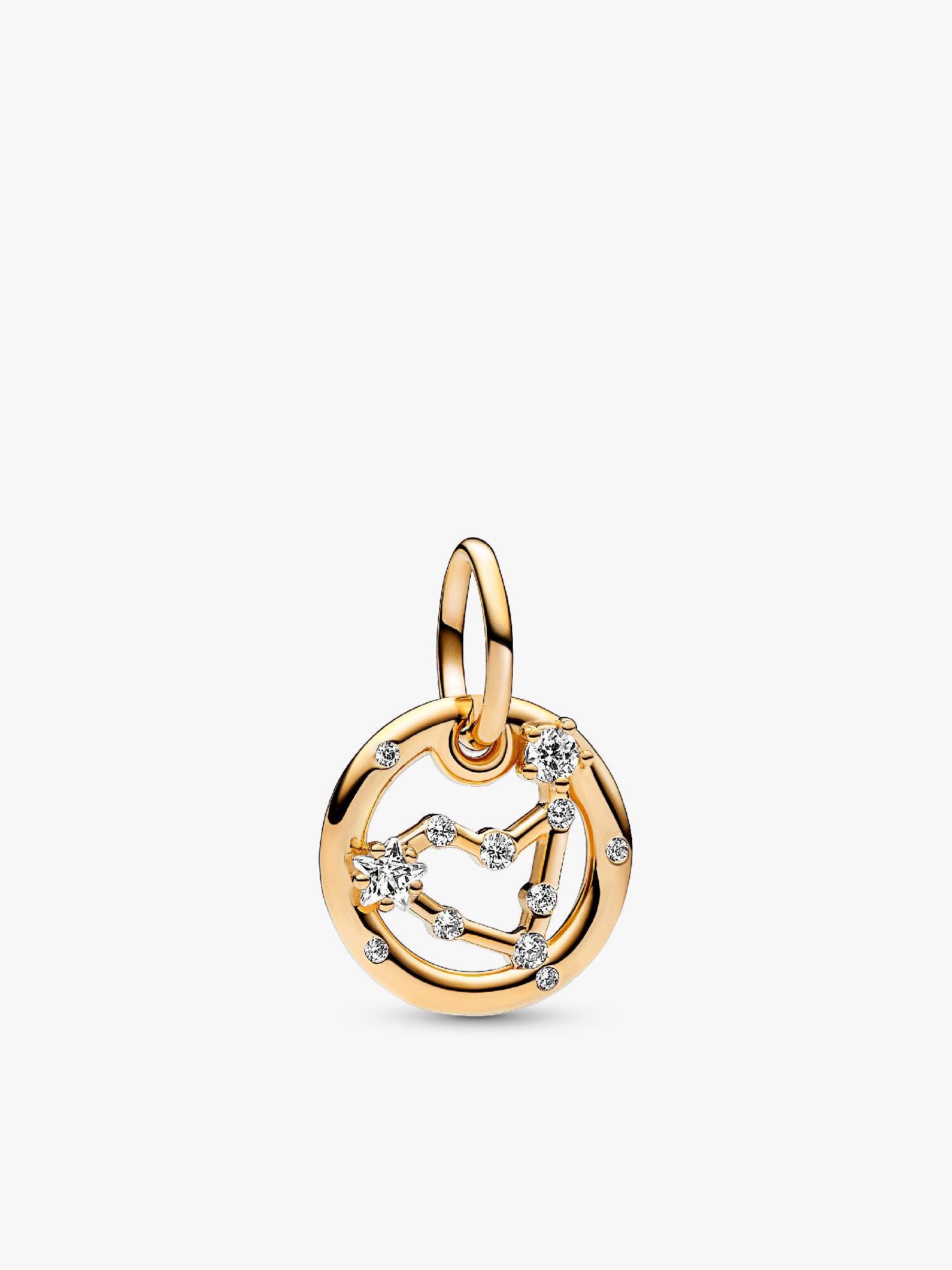 Oğlak Burcu Sallantılı Charm