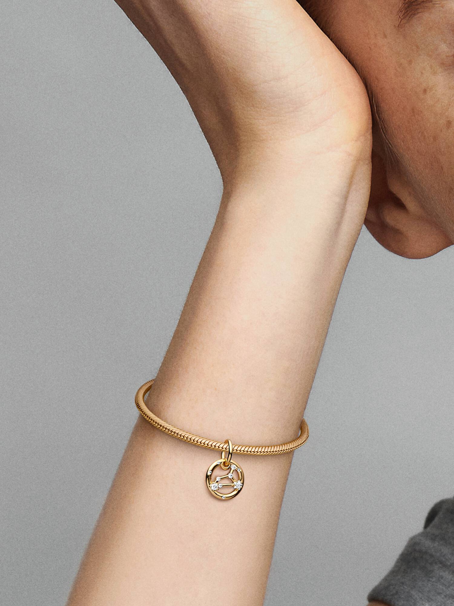Aslan Burcu Sallantılı Charm