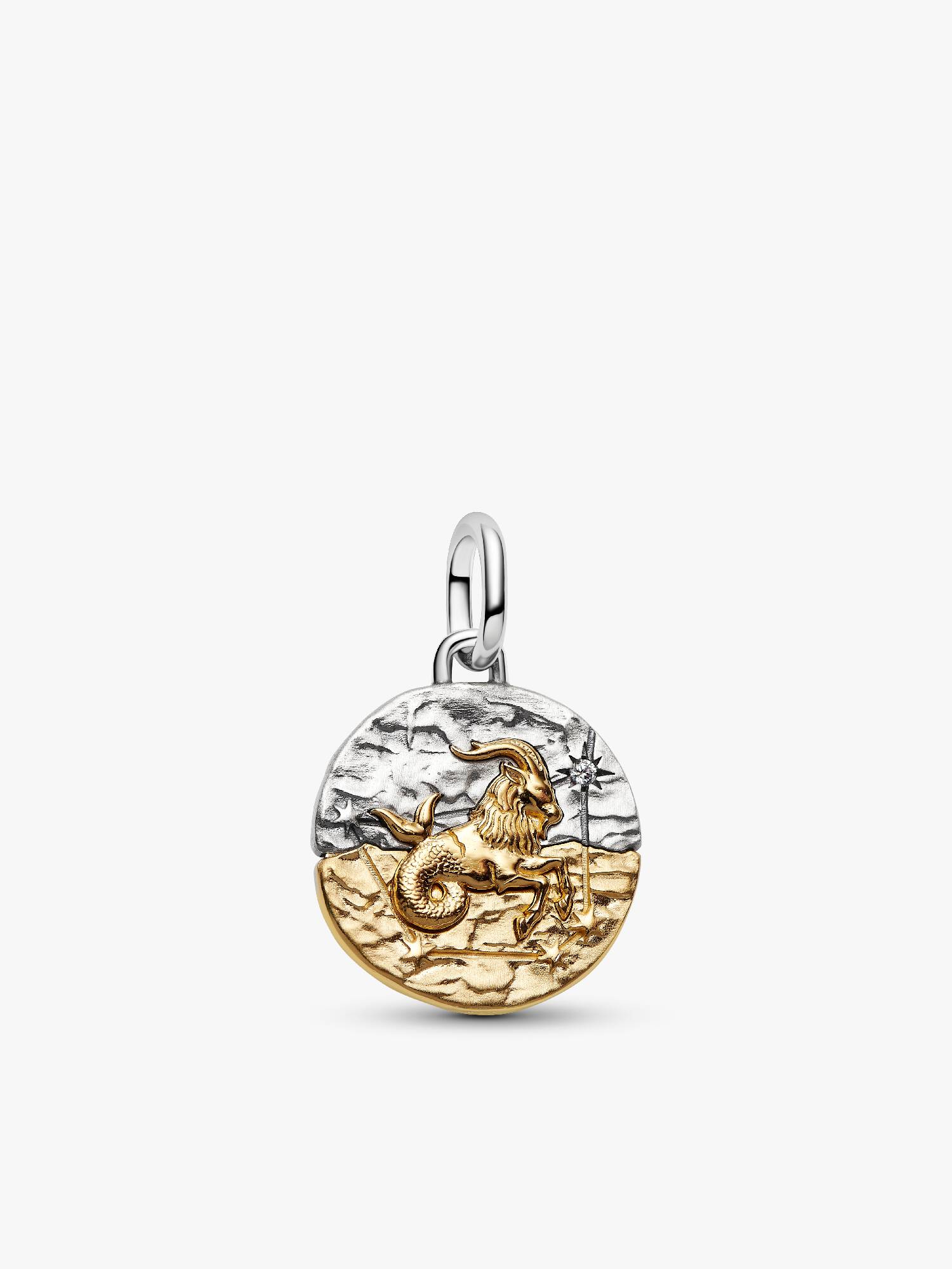 Oğlak Burcu Madalyon Charm