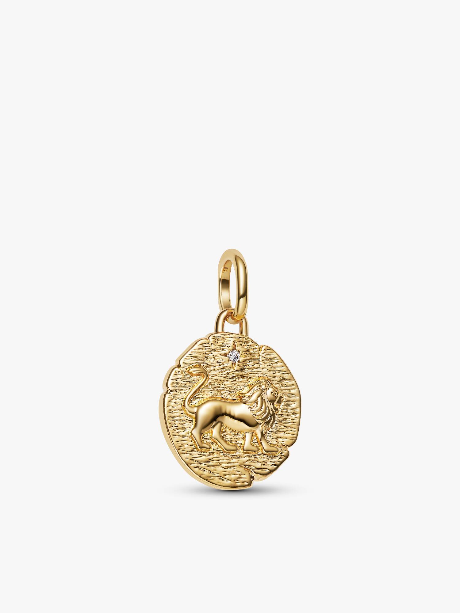 Aslan Madalyon Charm