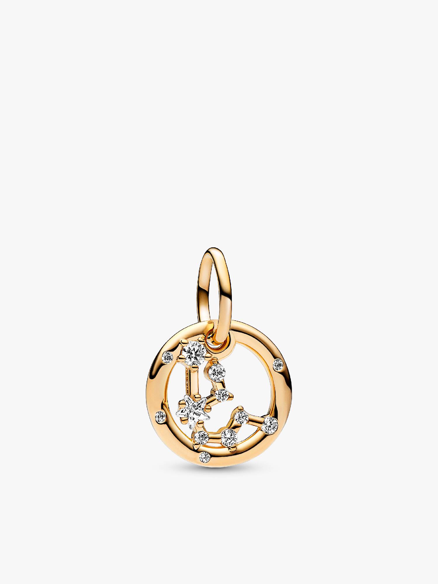 Kova Burcu Sallantılı Charm