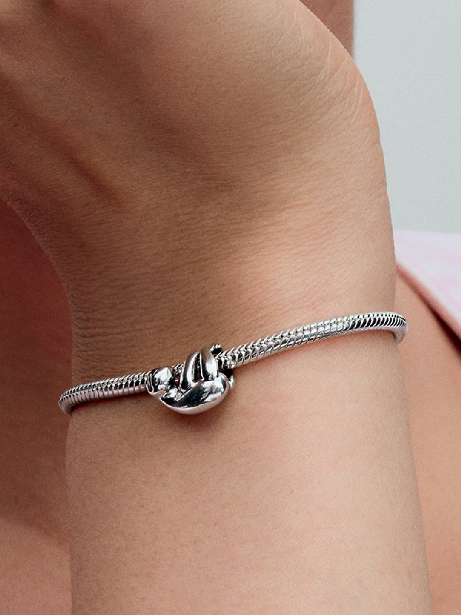 Sallanan Tembel Hayvan Charm