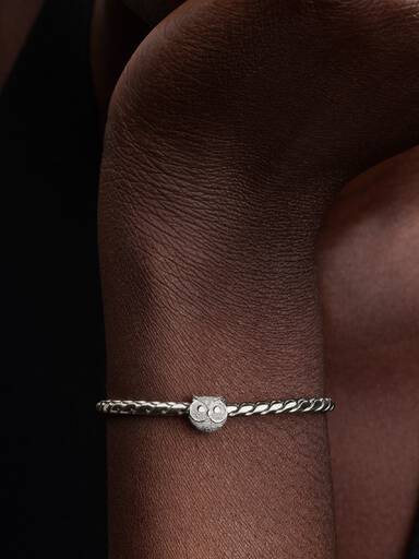 Dokulu Baykuş Mini Charm