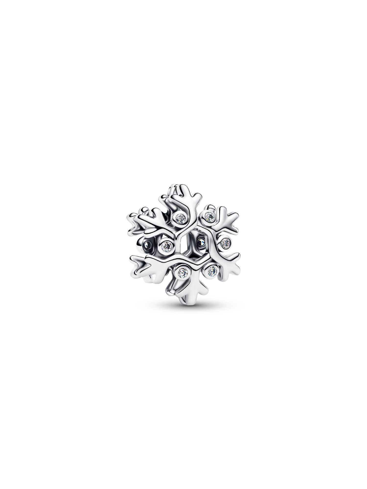 Kar Tanesi Charm