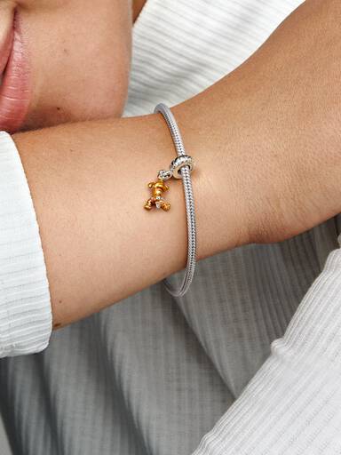Disney Winnie the Pooh Tigger Sallantılı Charm