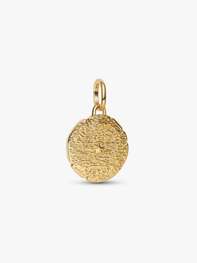 Aslan Madalyon Charm