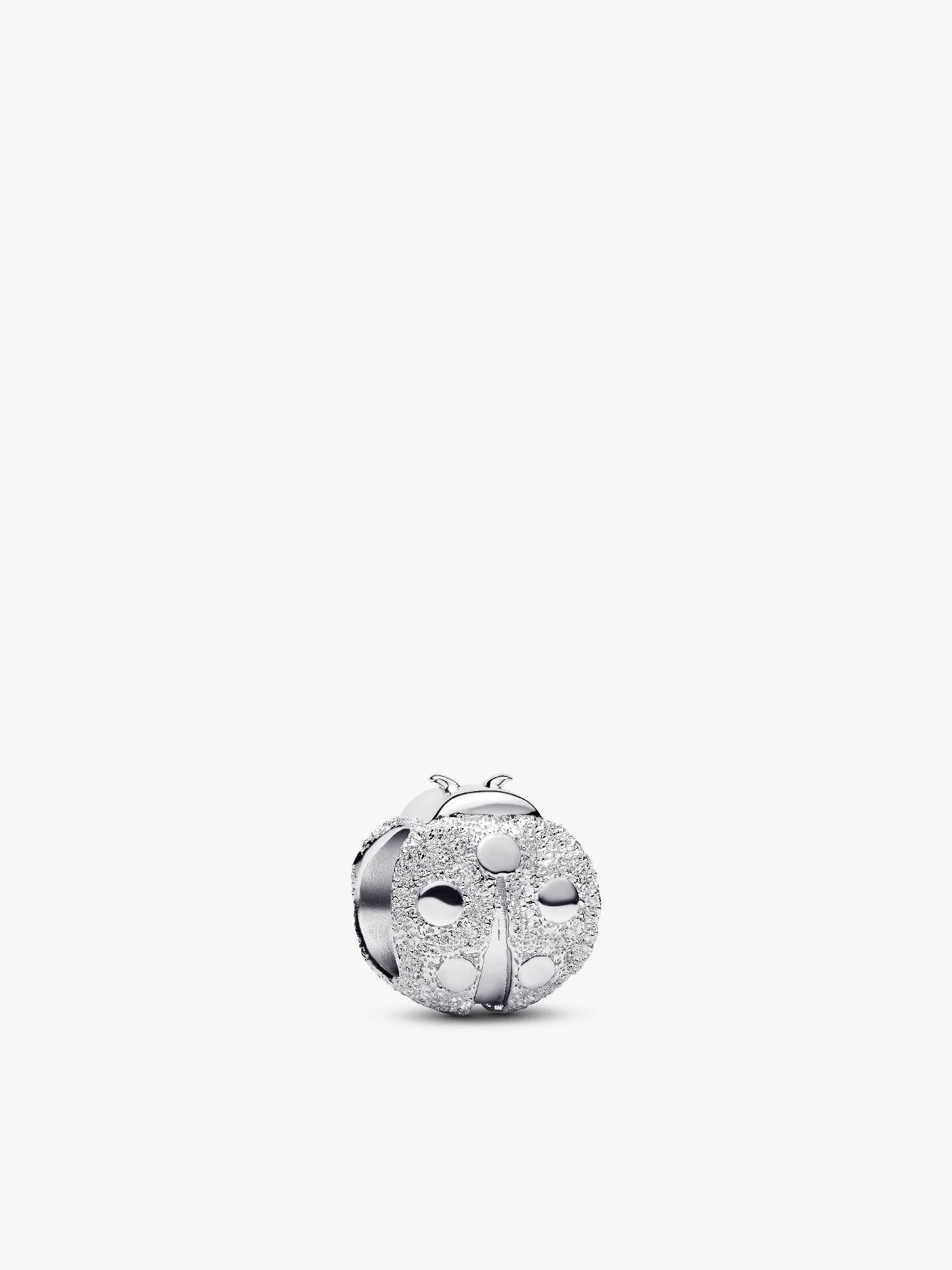 Dokulu Uğur Böceği Mini Charm