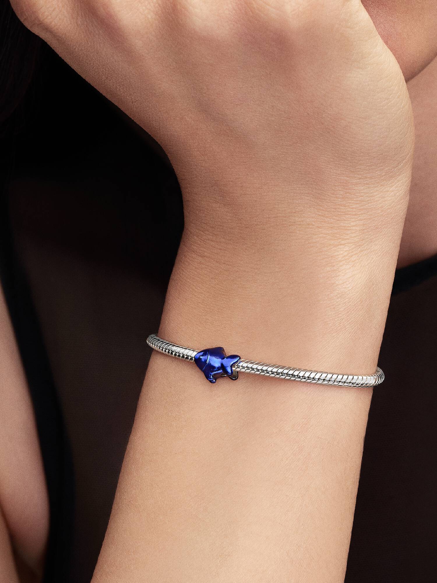 Mavi Balık Mini Charm