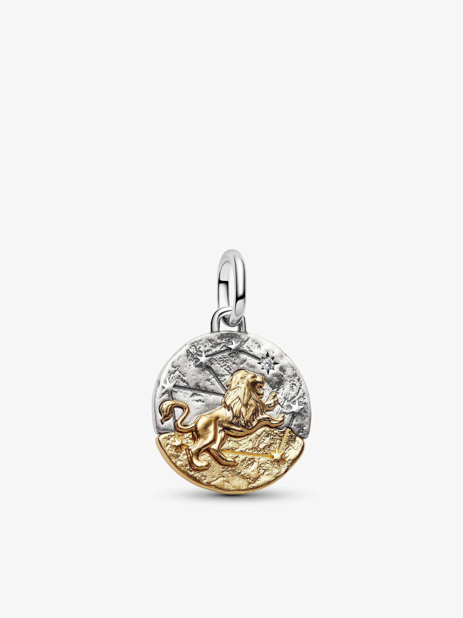 Aslan Burcu Madalyon Charm