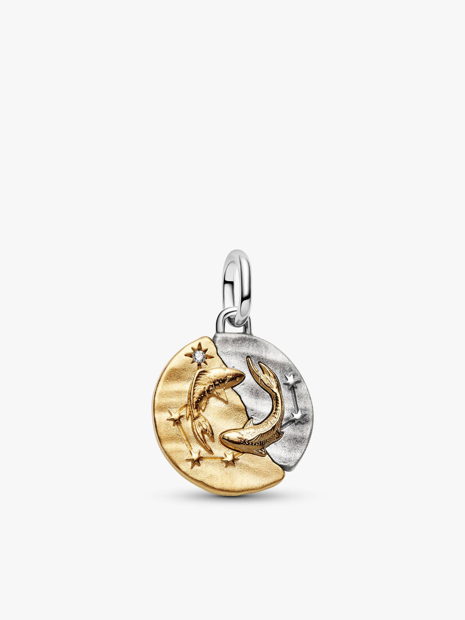 Balık Burcu Madalyon Charm