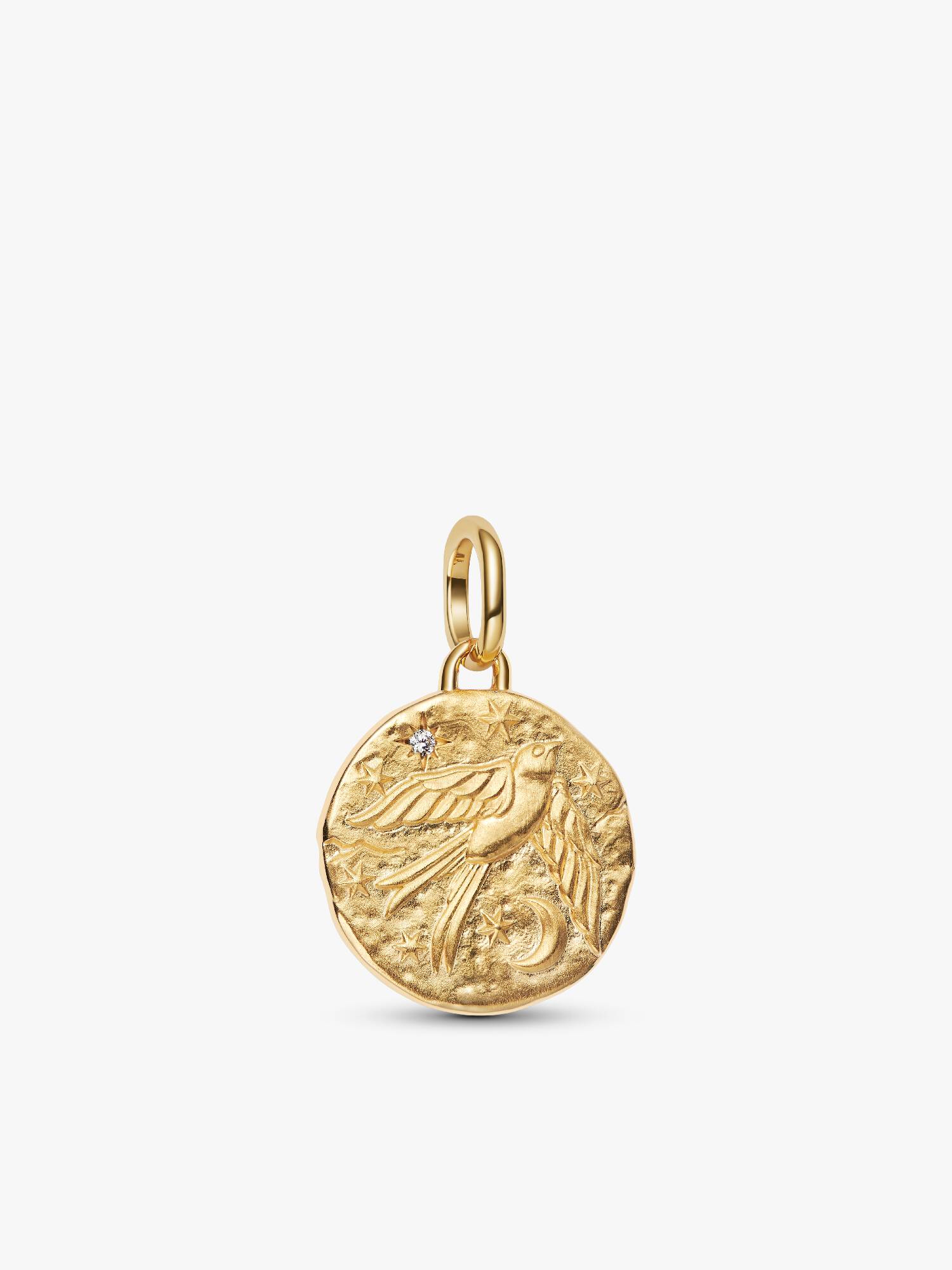 Kırlangıç Madalyon Charm