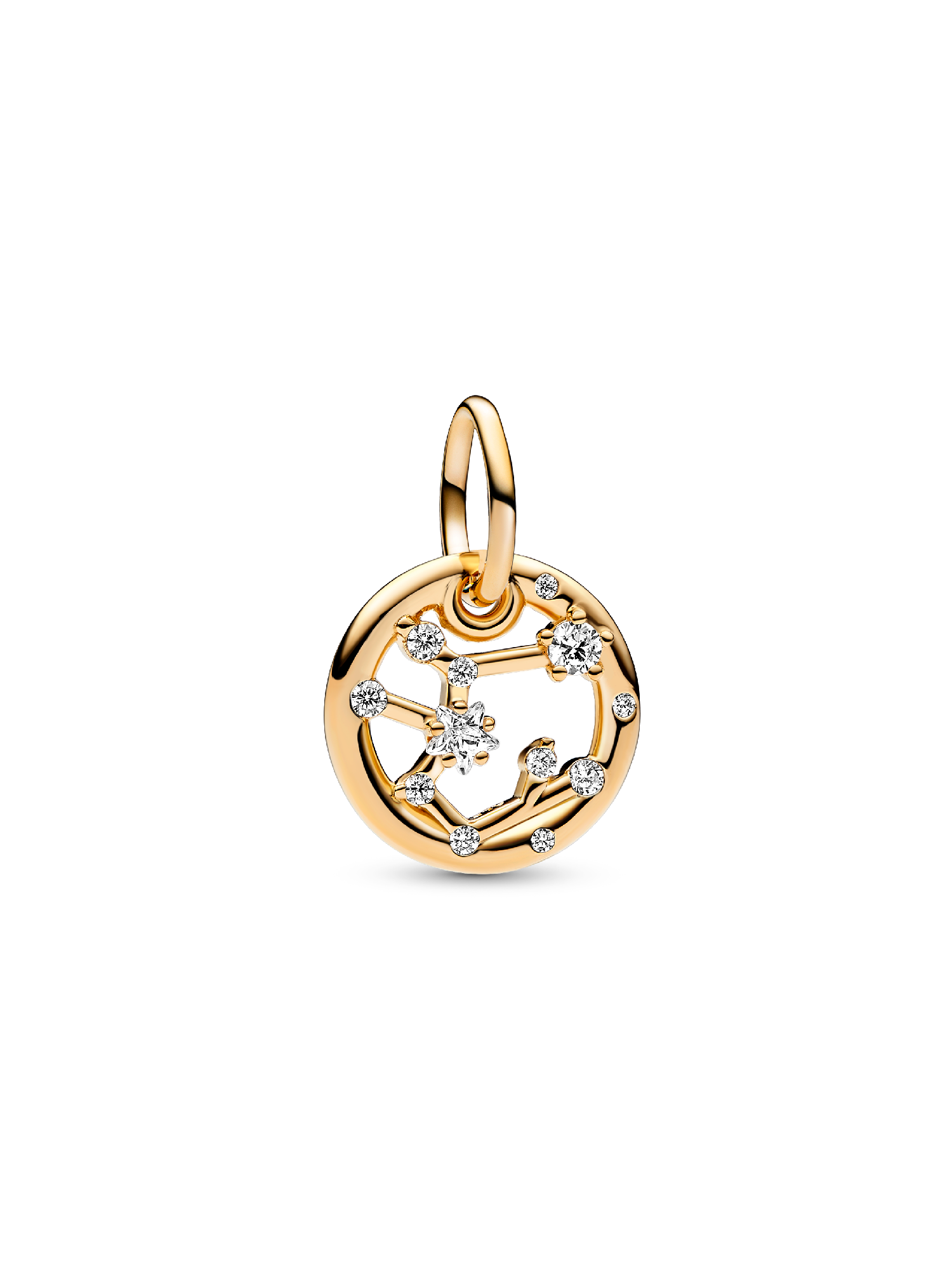Yay Burcu Sallantılı Charm