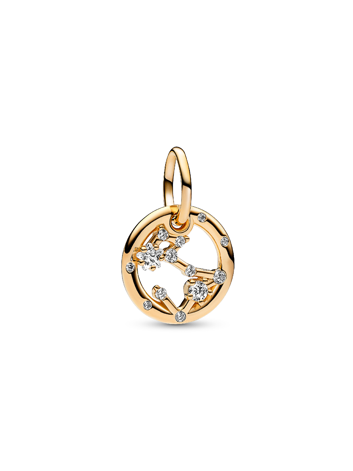Balık Burcu Sallantılı Charm
