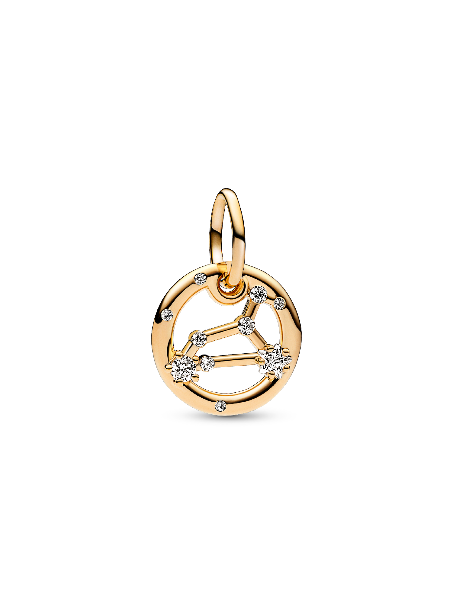 Aslan Burcu Sallantılı Charm