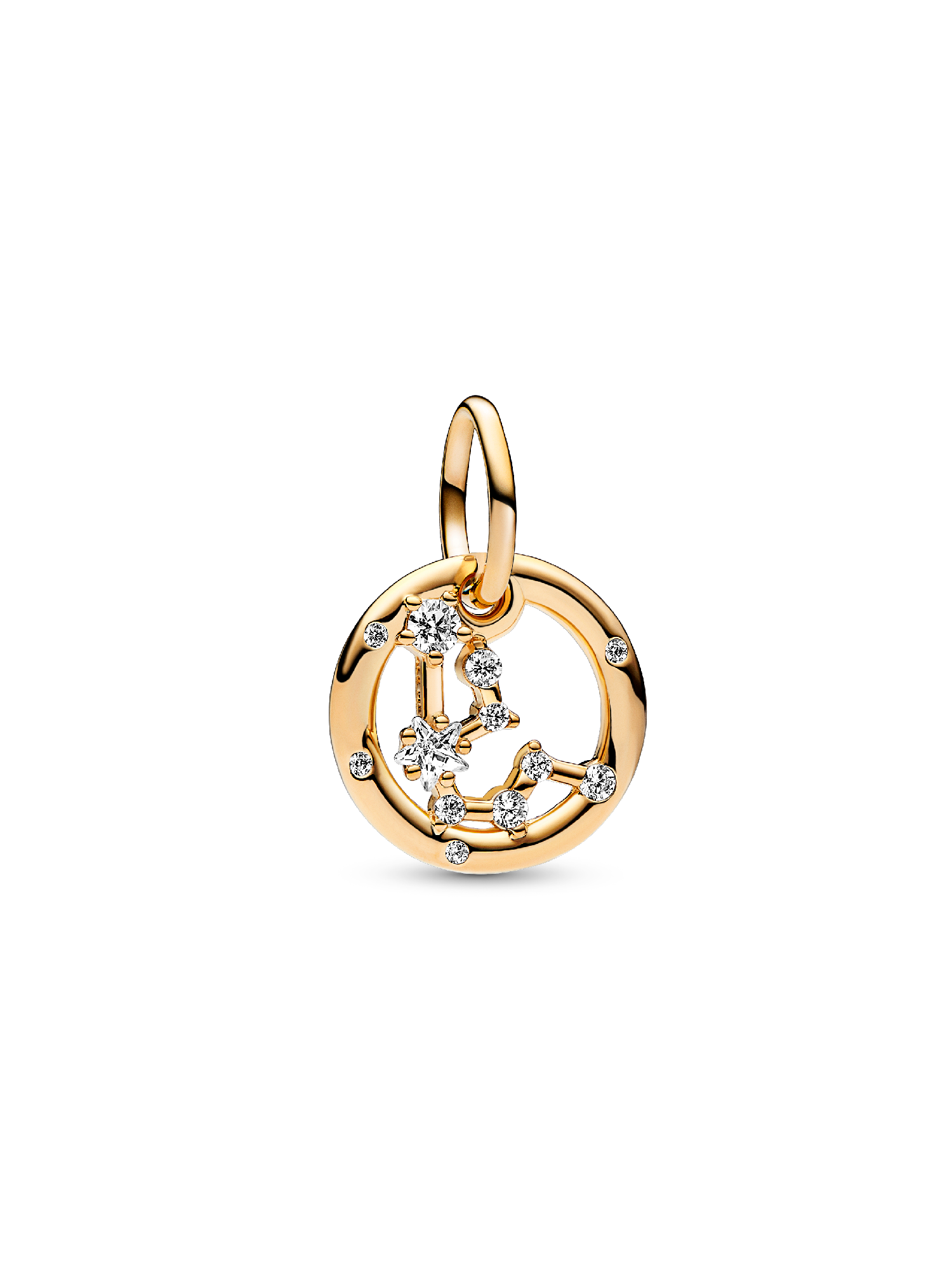 Kova Burcu Sallantılı Charm
