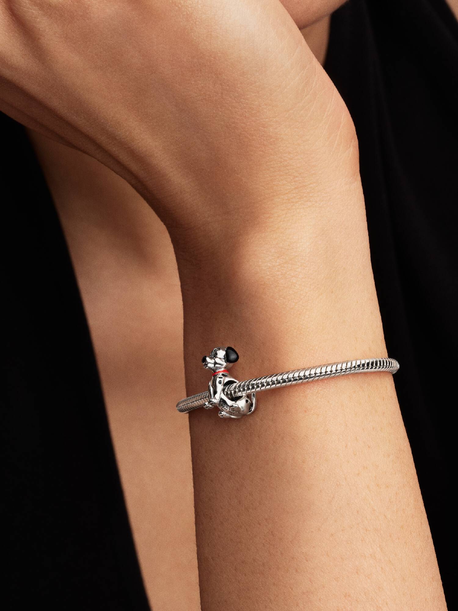 Disney 101 Dalmaçyalı Charm