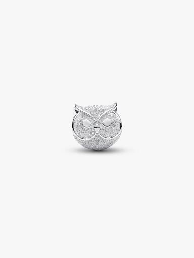Dokulu Baykuş Mini Charm