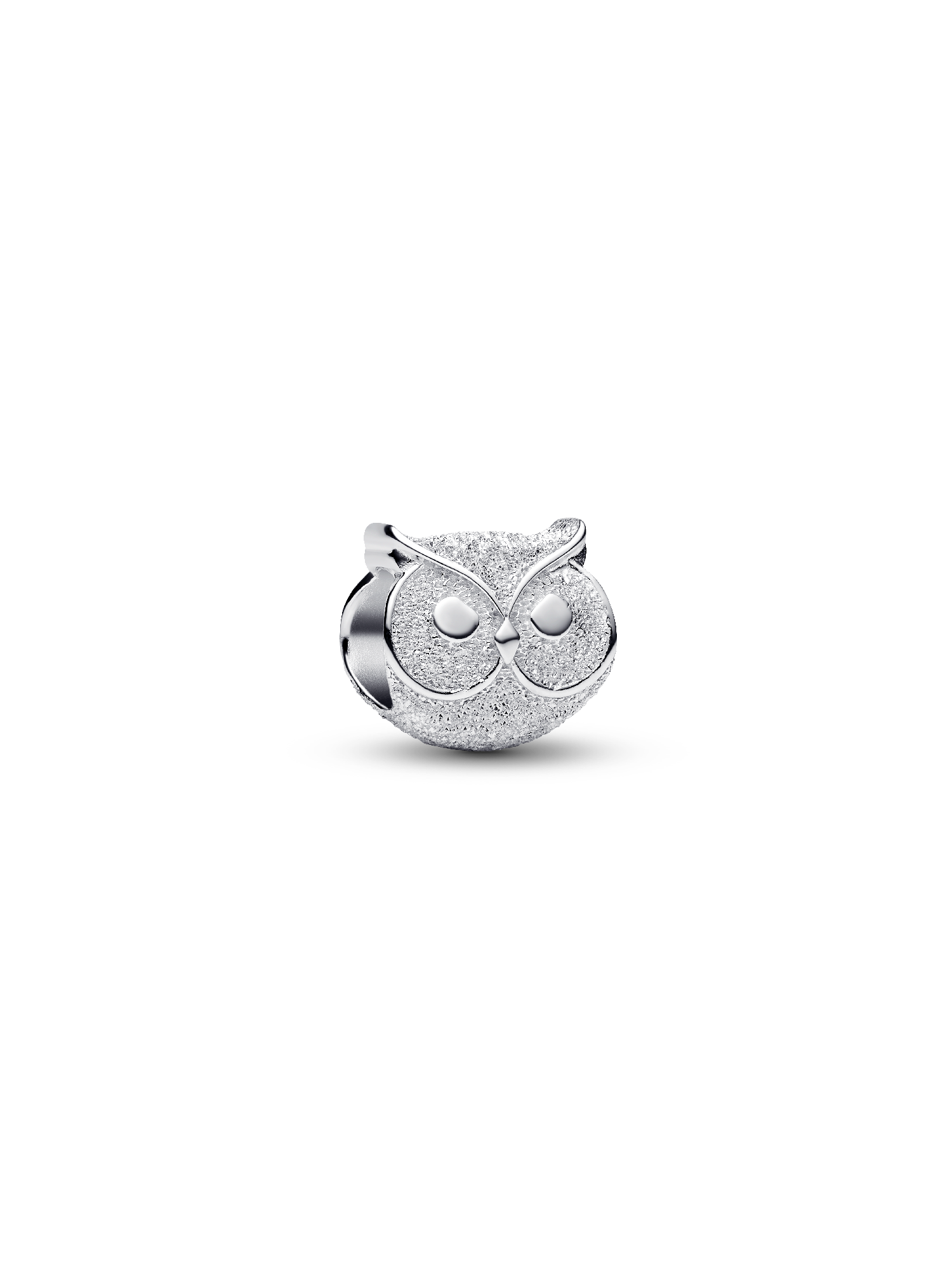 Dokulu Baykuş Mini Charm
