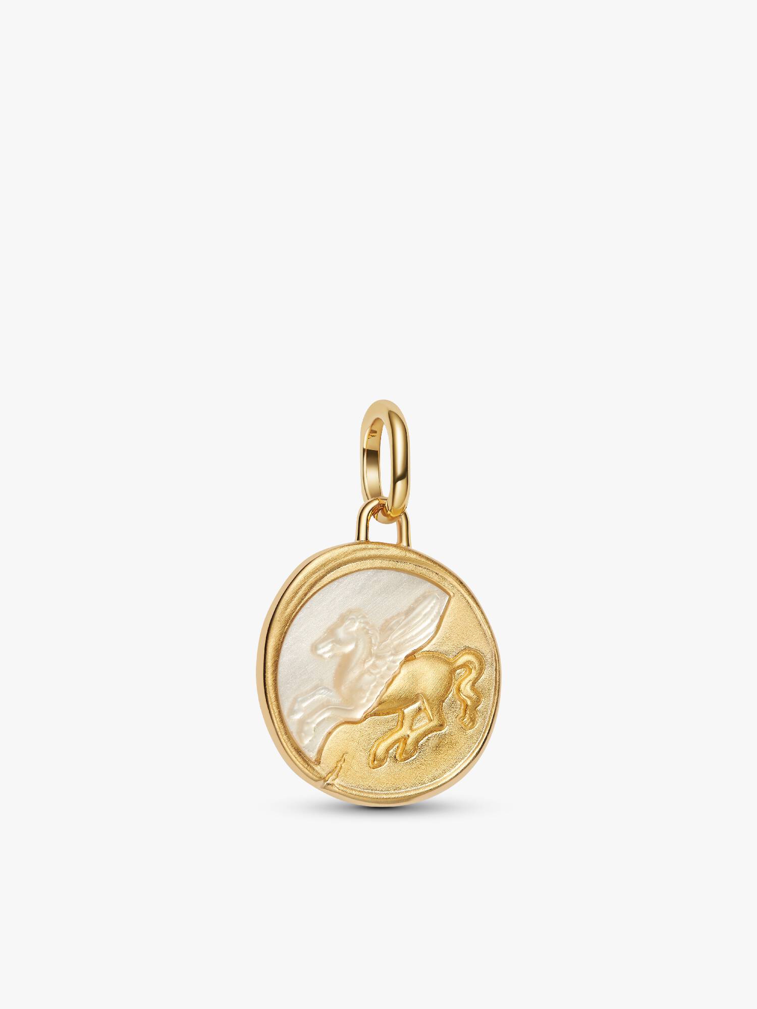 Pegasus Madalyon Charm