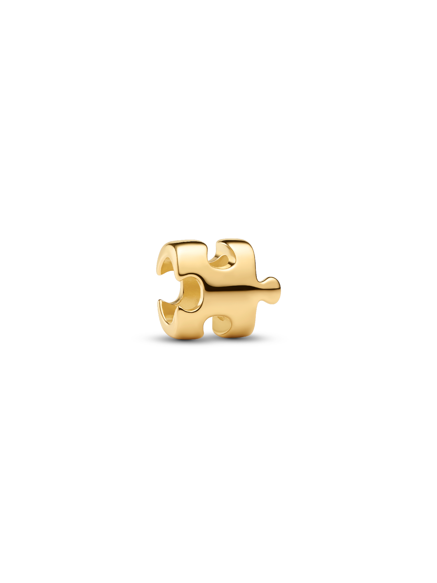 Yapboz Parçası Mini Charm