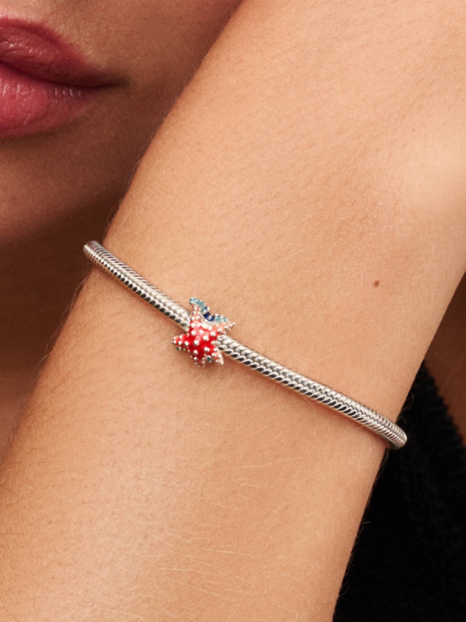 Renkli Denizyıldızı Mini Charm