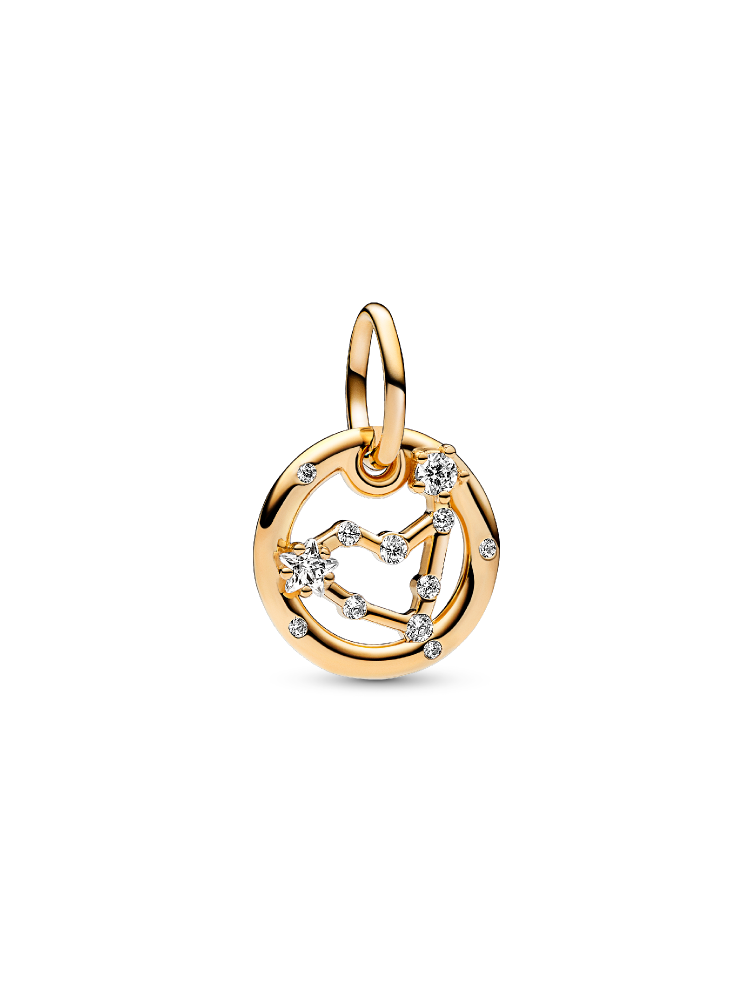 Oğlak Burcu Sallantılı Charm