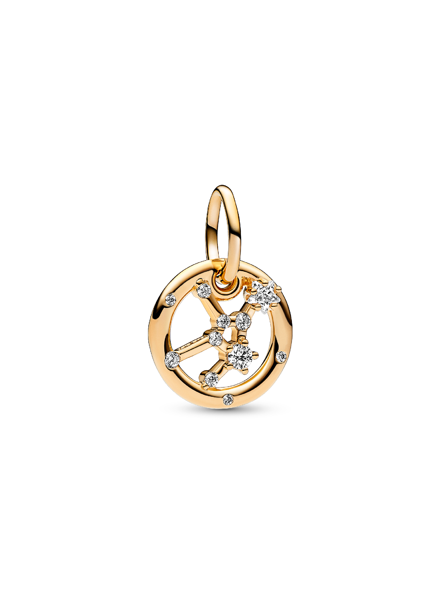 Başak Burcu Sallantılı Charm