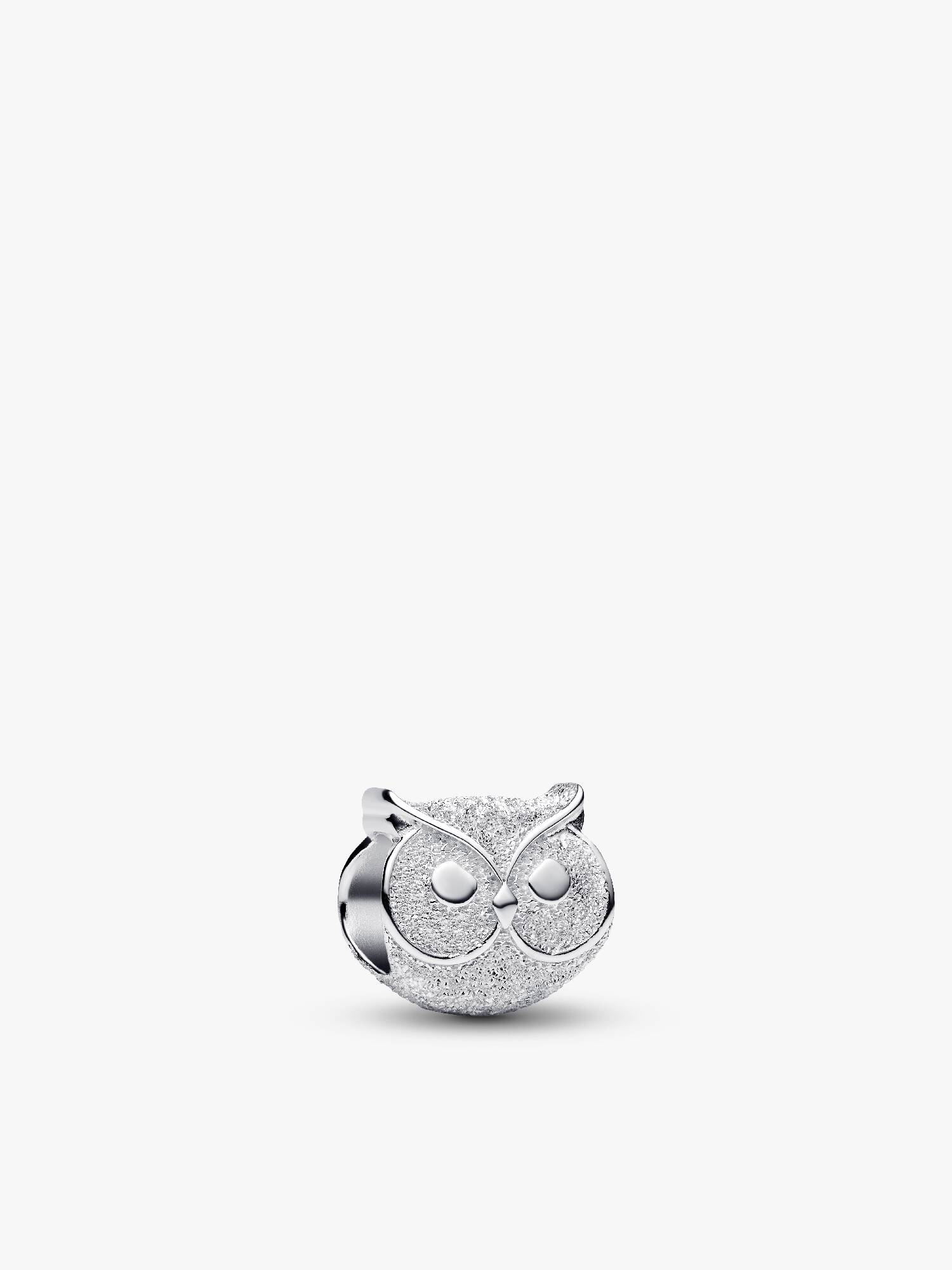 Dokulu Baykuş Mini Charm