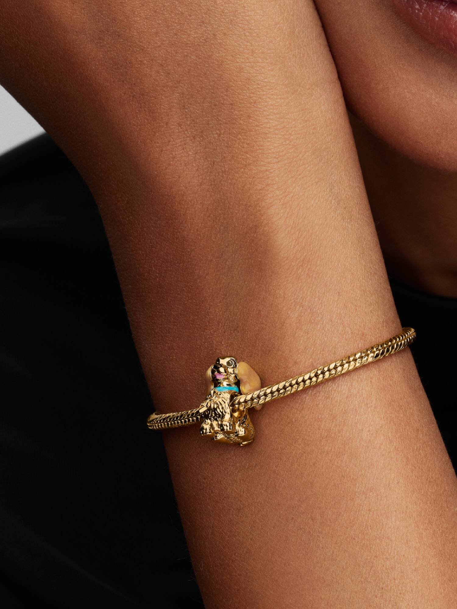 Disney Leydi Charm 