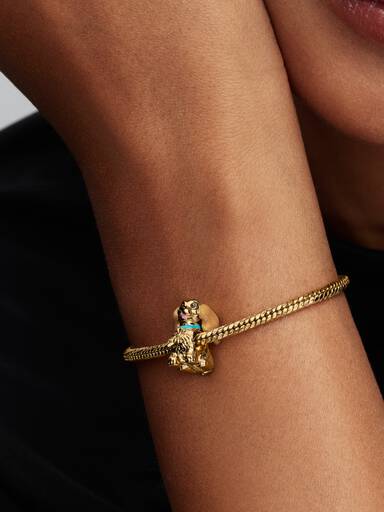 Disney Leydi Charm