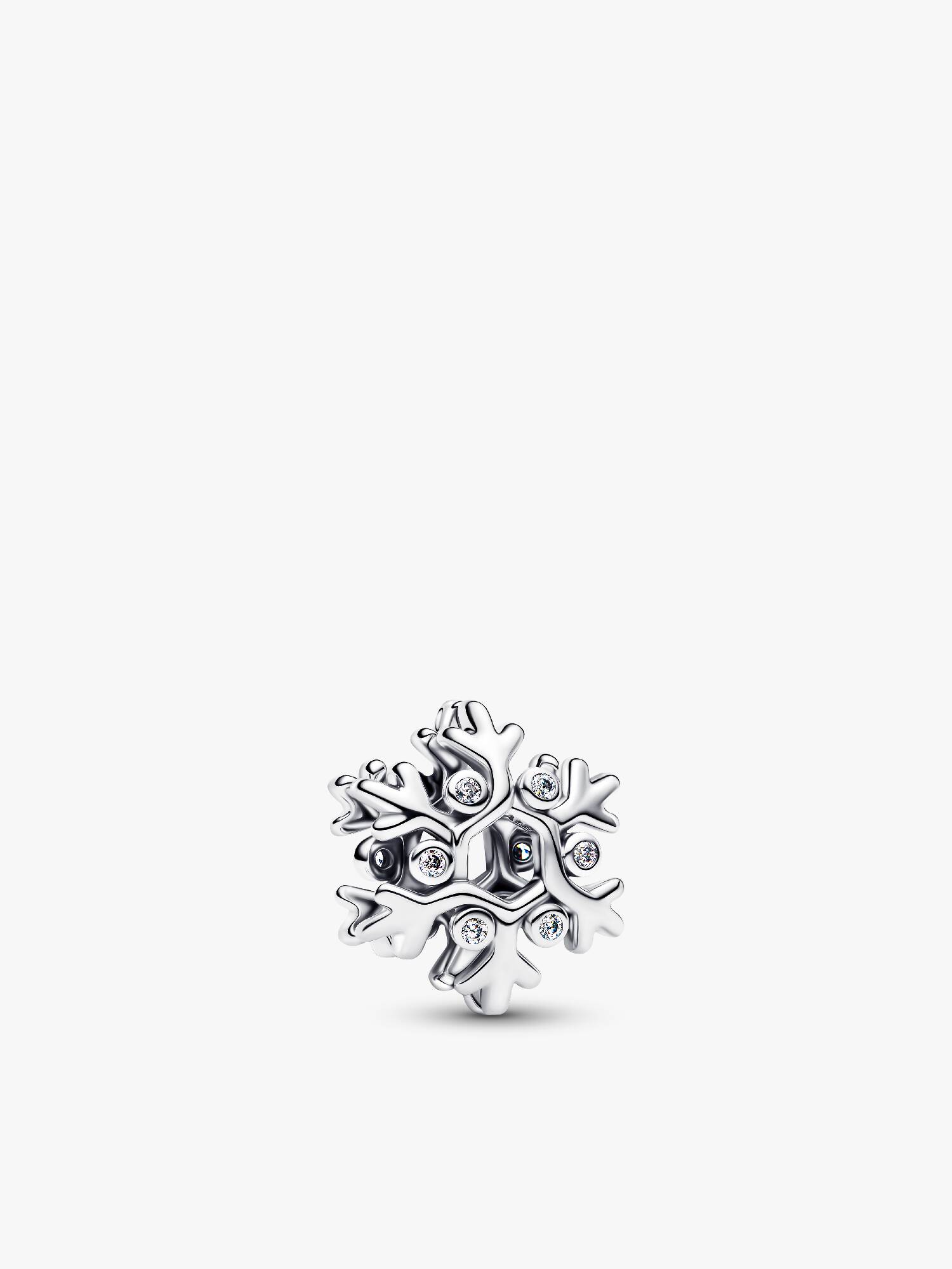 Kar Tanesi Charm