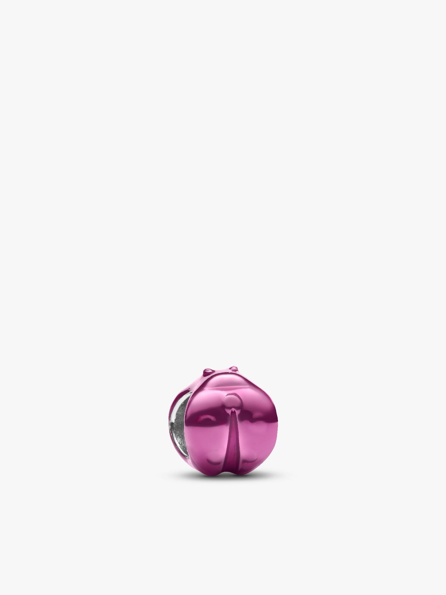 Pembe Uğur Böceği Mini Charm
