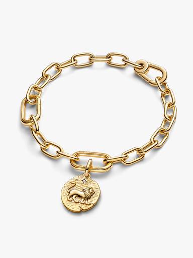 Aslan Madalyon Charm