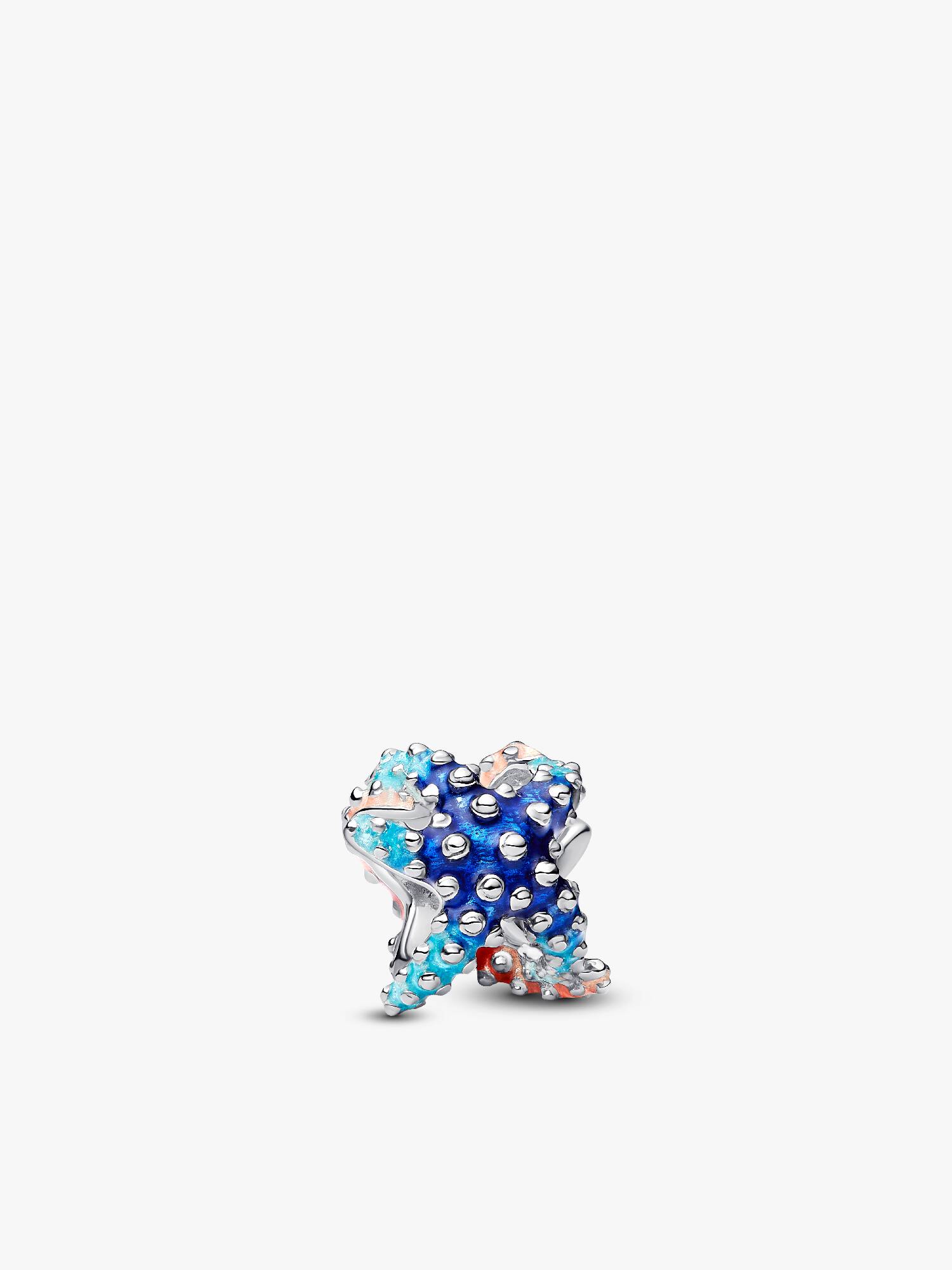 Renkli Denizyıldızı Mini Charm