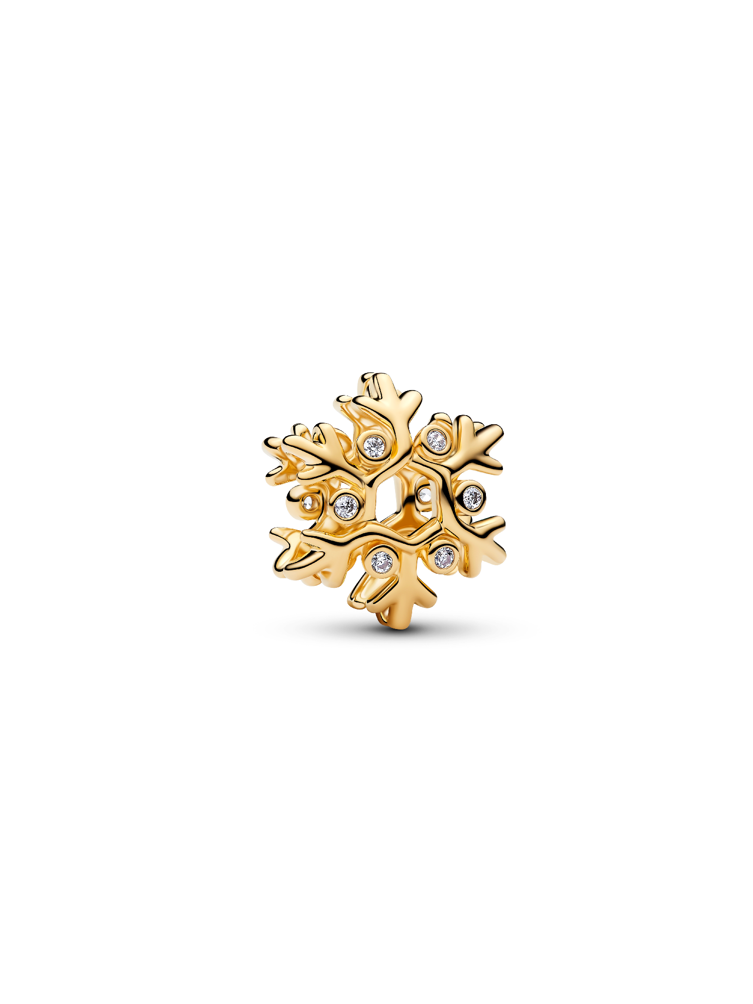 Kar Tanesi Charm