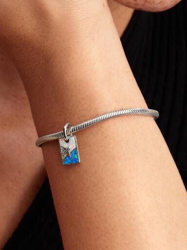 Seyahat Sallantılı Charm