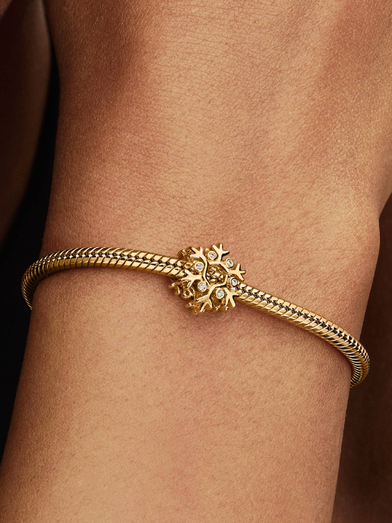 Kar Tanesi Charm