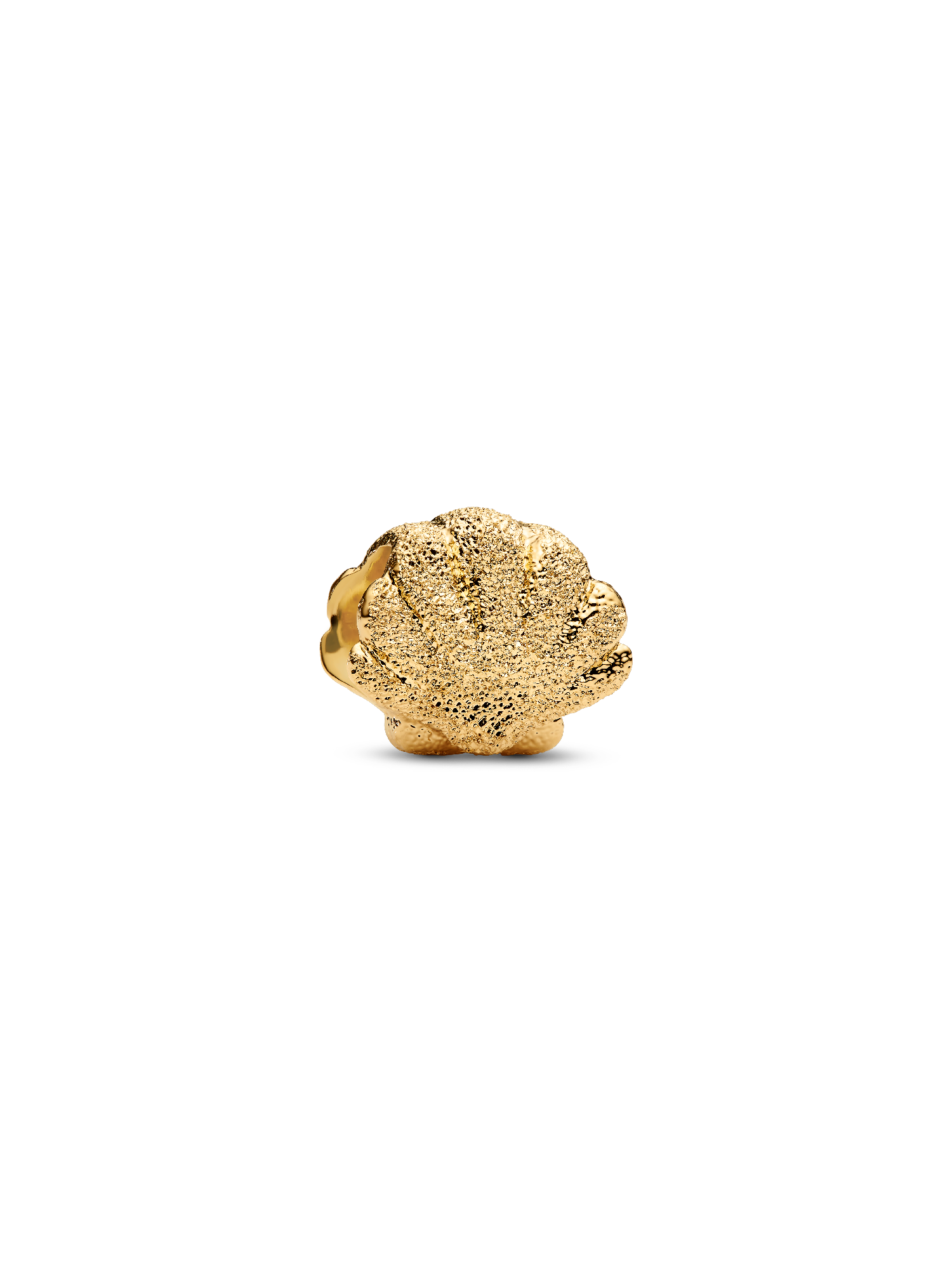 Dokulu Deniz Kabuğu Mini Charm