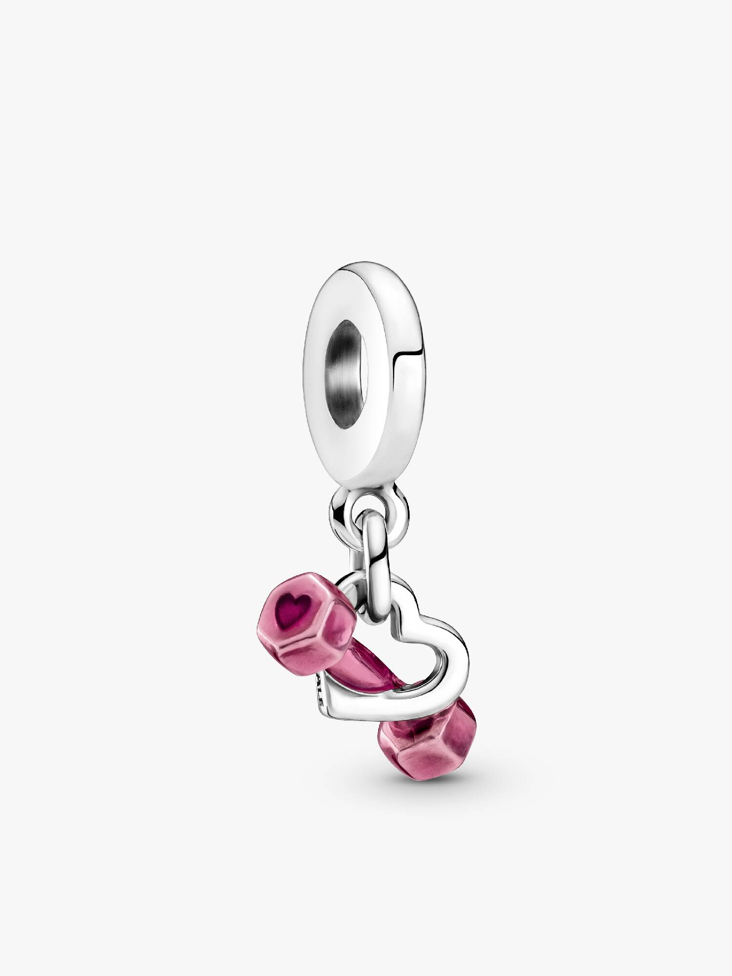 Dambıl ve Kalp Sallantılı Charm