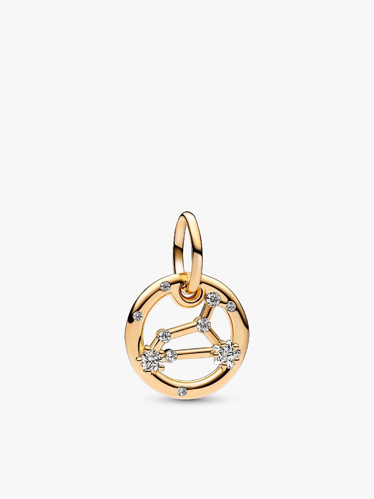 Aslan Burcu Sallantılı Charm