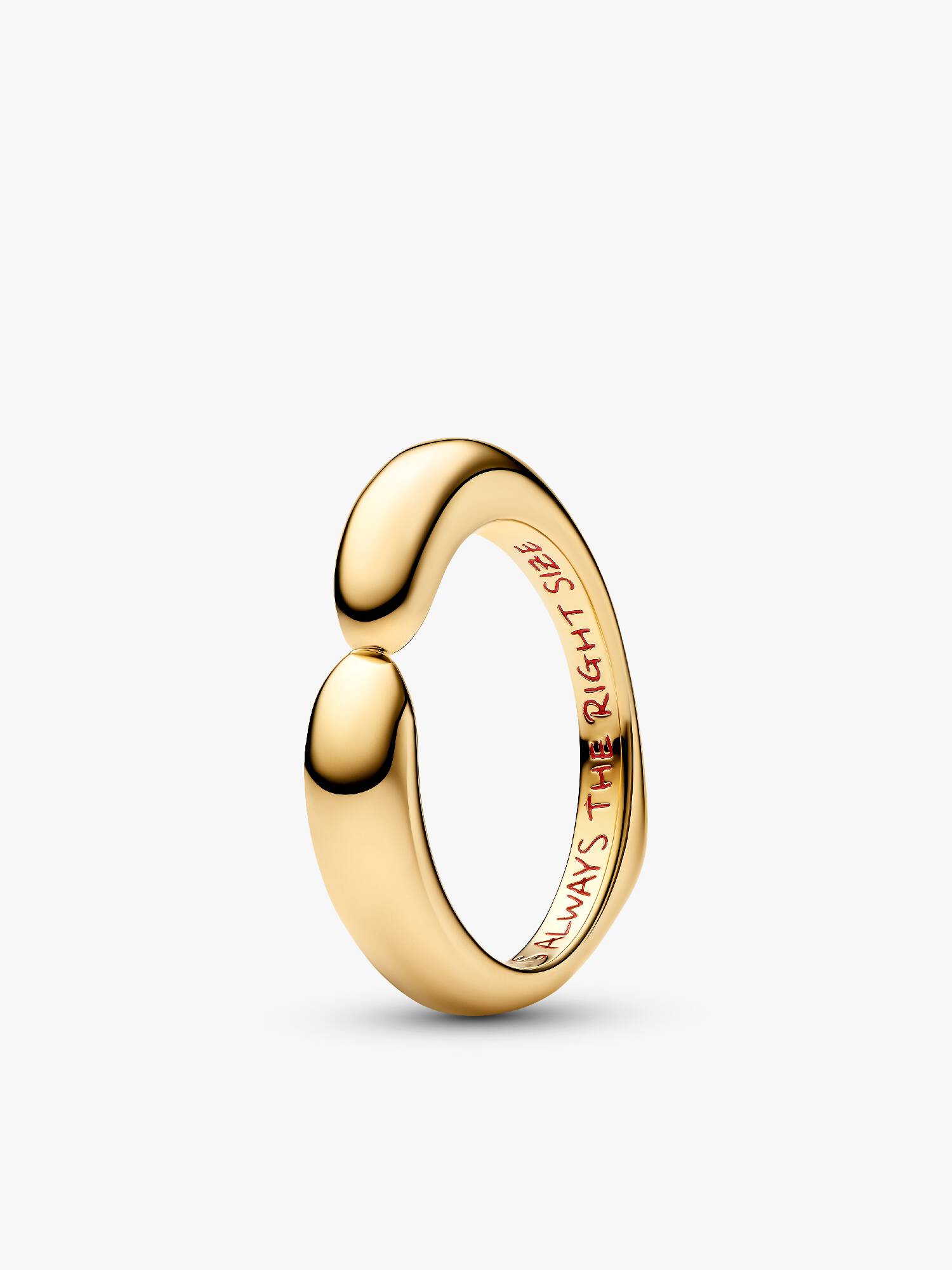 Disney Winnie the Pooh Sarılma Charm 