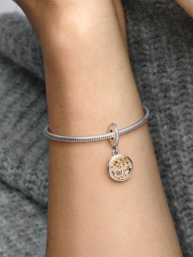Aile Kökleri Sallantılı Charm