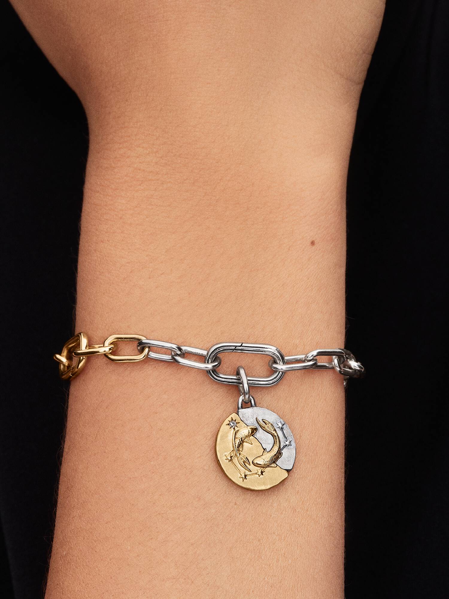 Balık Burcu Madalyon Charm