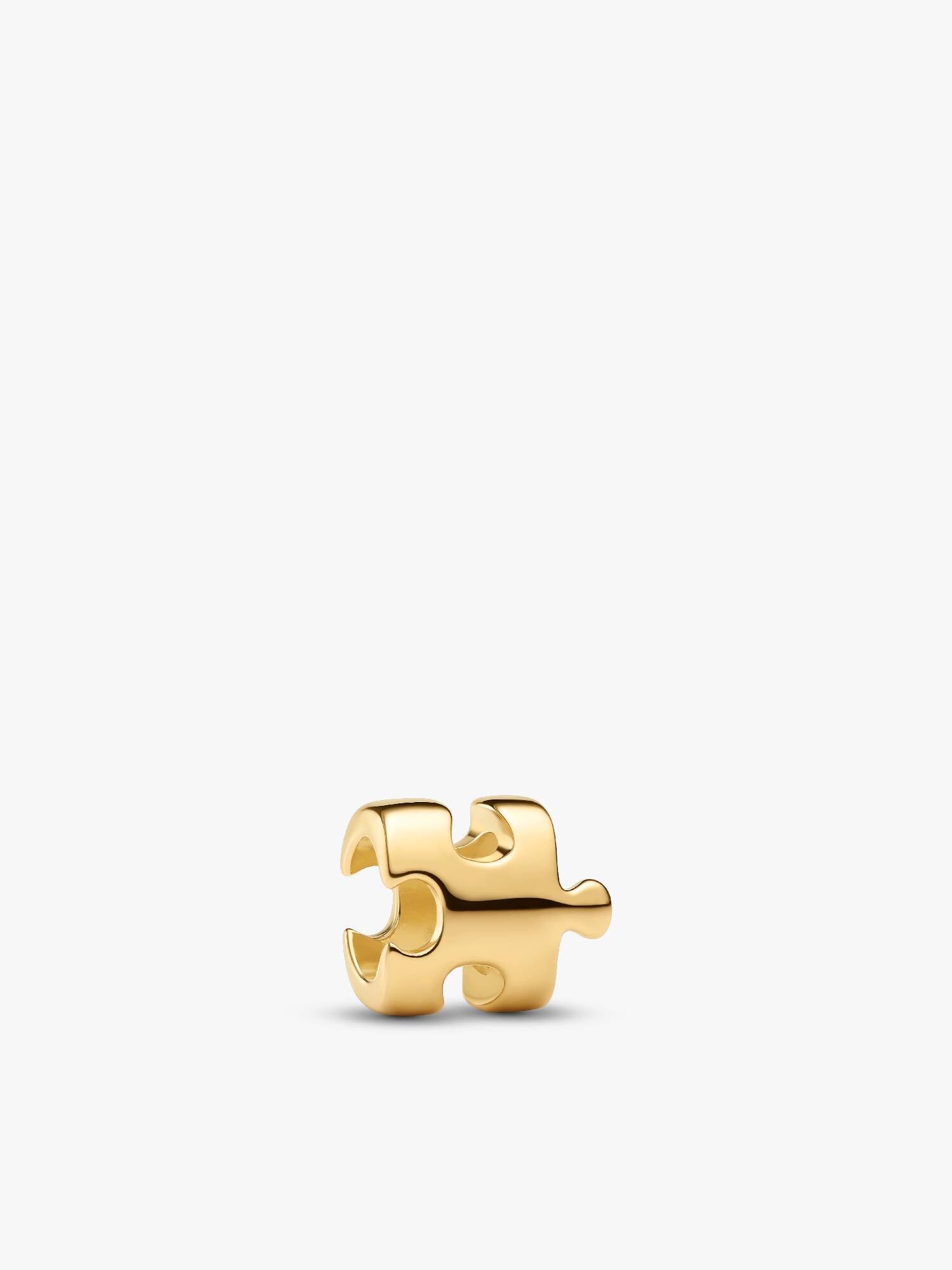 Yapboz Parçası Mini Charm