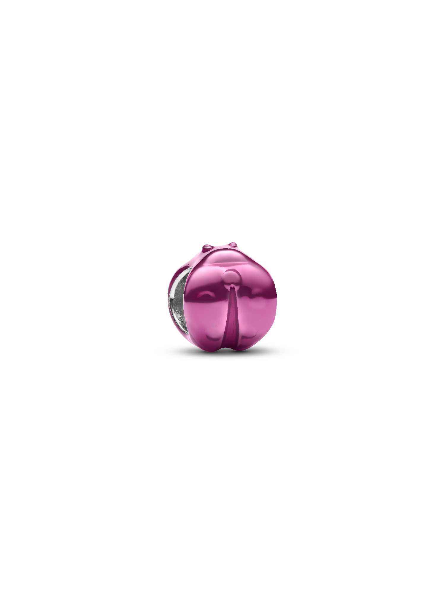 Pembe Uğur Böceği Mini Charm