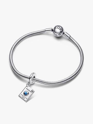 Açılabilir Pasaport Sallantılı Charm
