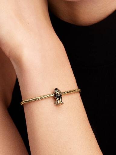 Disney "Kötüler" Scar Charm